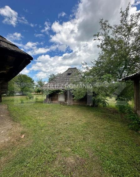 Casa+teren pentru investitie, 5500mp, Horodnic de Sus