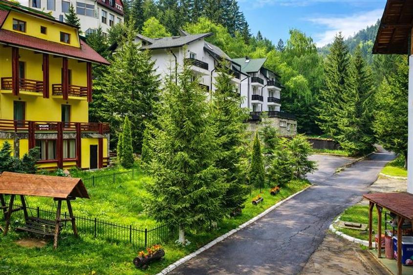 Tur LIVE! Refugiu in ambientul special al statiunii Poiana Brasov - 2