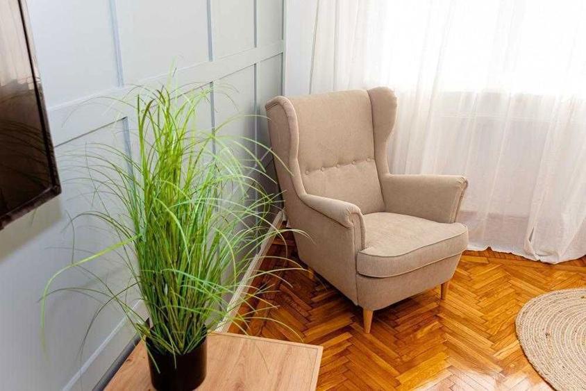 Inchiriez Apartament 1 Camera Ultracentral- Studio Continental - 6