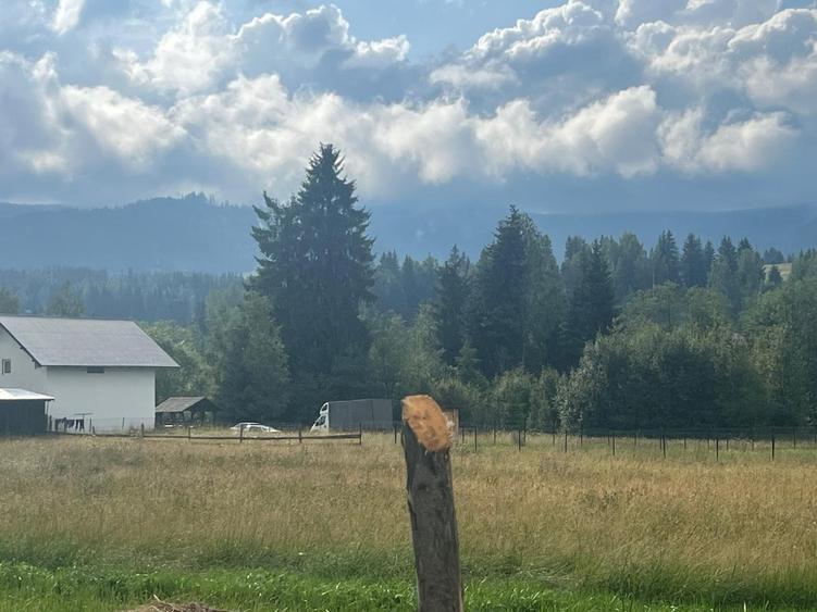 Teren intravilan 2000 mp în Neagra Șarului – zonă liniștită, superbă - 1