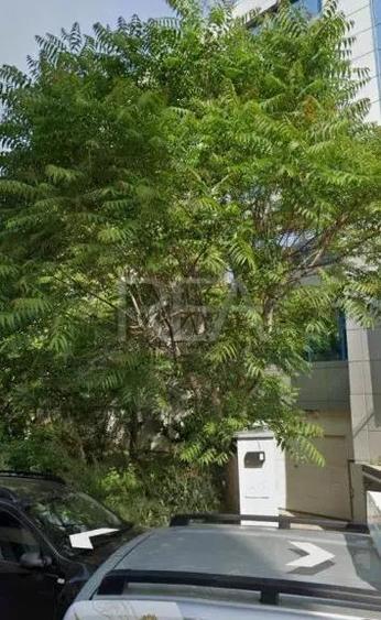 Teren Intravilan 211 mp - POT 70% Grozave?ti - 1