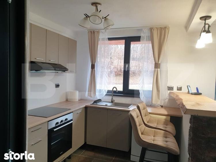 Colt de rai in Muntii Calimani cabana ideala pentru vacanta sau in - 4