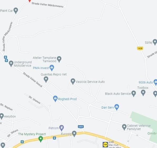 Teren parcelabil 5300 mp zona Lomb - 1