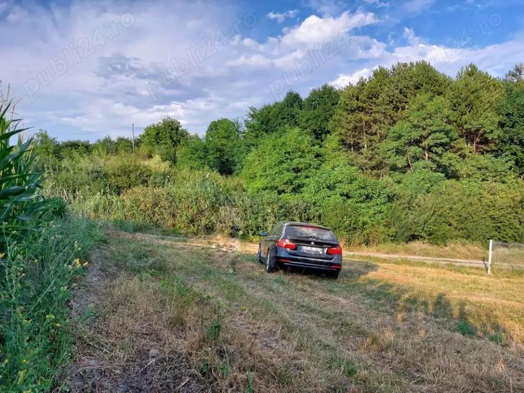 Teren „Fânațele Clujului - Copârșaie” - 6