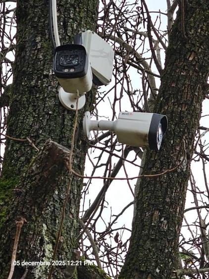 Casa modernizata in Campulung Muscel,padure proprie, toate utilitatile - 7