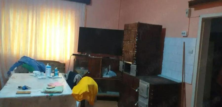 Vind urgent casa Sagu Nr. 586 Arad - 7