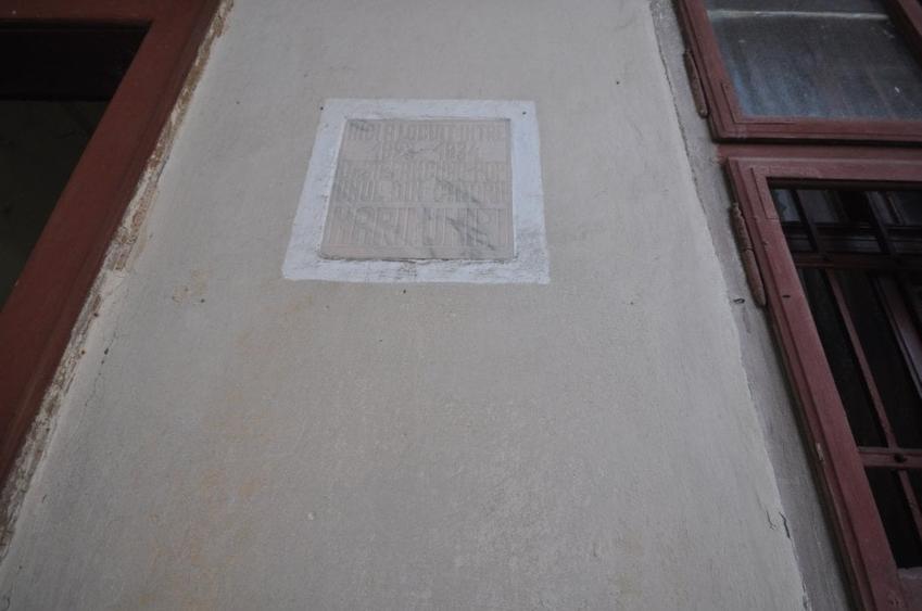 Conac apartinand lui Cicio POP, judet ARAD - 5