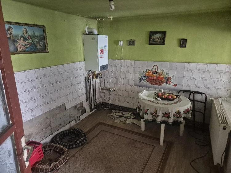 casa de vanzare in cartier plopi timisoara - 3