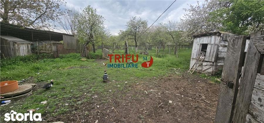 Casa + Teren Benic ! - 8