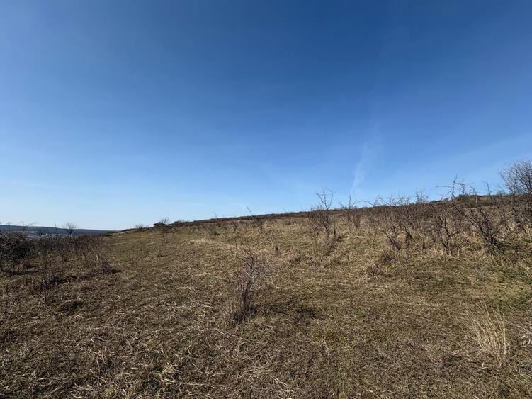 Teren Construcții intravilan de 5800 mp, în Crișeni