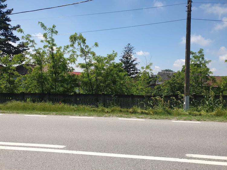 Teren de 2700 mp, în Dobrești