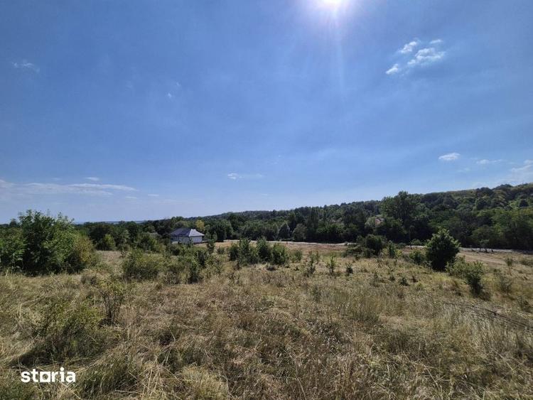 Teren de 13000 mp, în Runcu