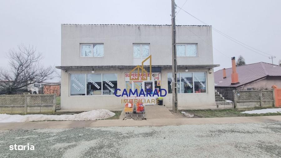 Casă cu 3 camere cu Teren 1450 Mp în Tămădău Mare