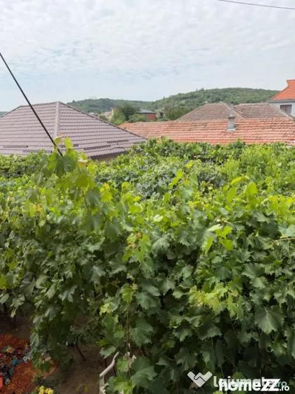 Casă cu 4 camere cu Teren 250 Mp în Podari