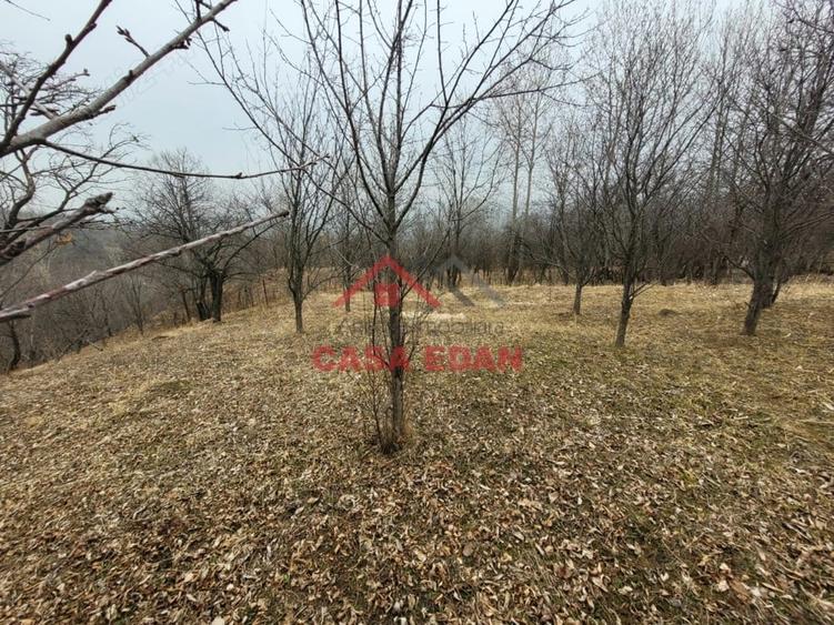 Casă cu Teren 1358 Mp în Gura Beliei