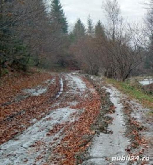 Teren de 4000 mp, în Racovița