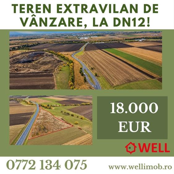Teren extravilan de 11300 mp, în Bodoc