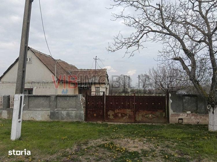 Teren de 2650 mp, în Pădureni