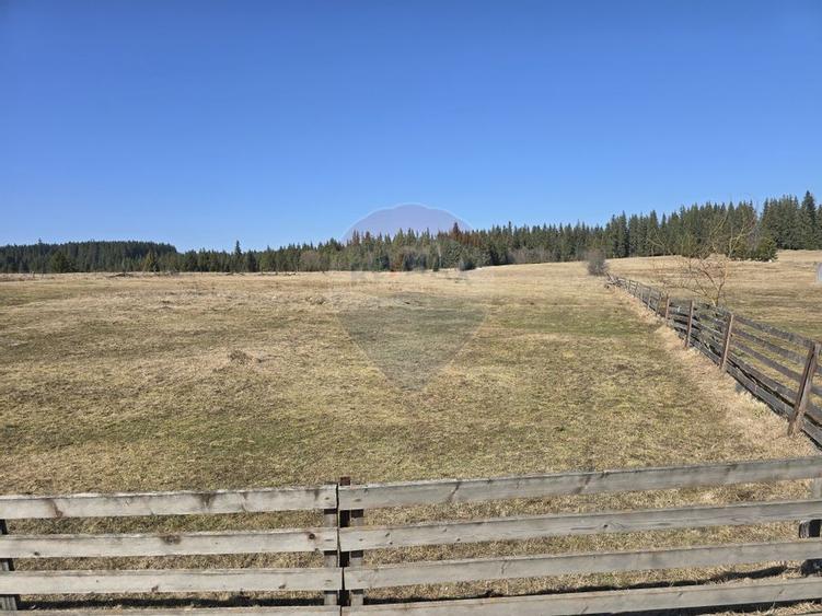 Teren Construcții intravilan de 23765 mp, în Poiana Stampei