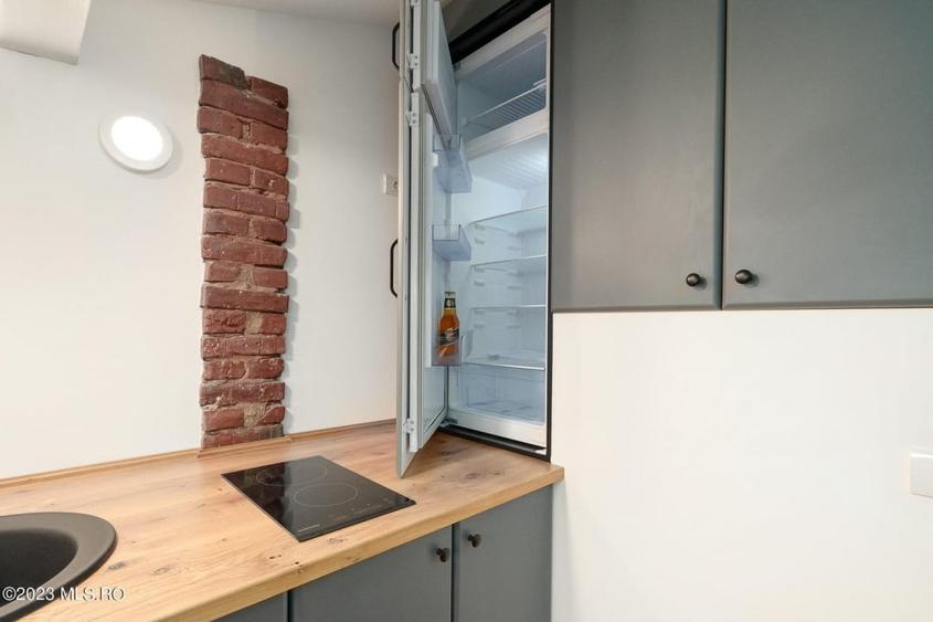 COTROCENI-GRADINA BOTANICA STUDIO LA CHEIE, 33 MP! - 9