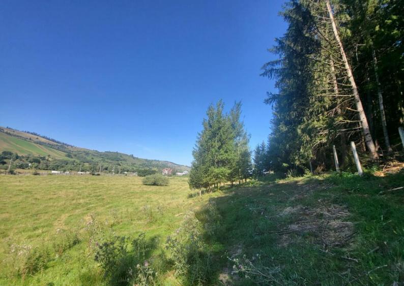 Teren, Ideal pentru Investitie Sau Dezvoltare - 18