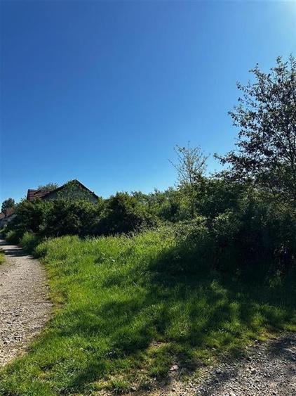 Reco Teren intravilan Beius - 1