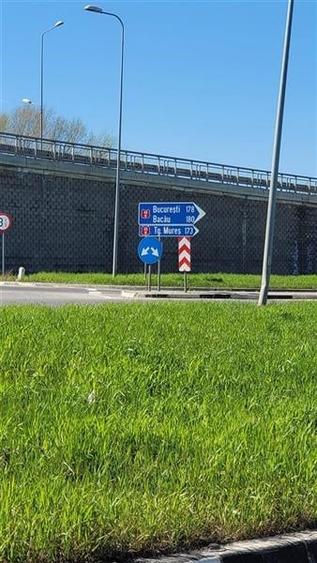 50.000mp teren intravilan, Clasa Master,  in Brasov spre Stupini - 9