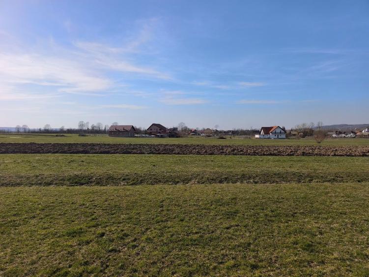 Teren intravilan ,36 arii , Chechis ,la 12 km de Baia Mare - 3