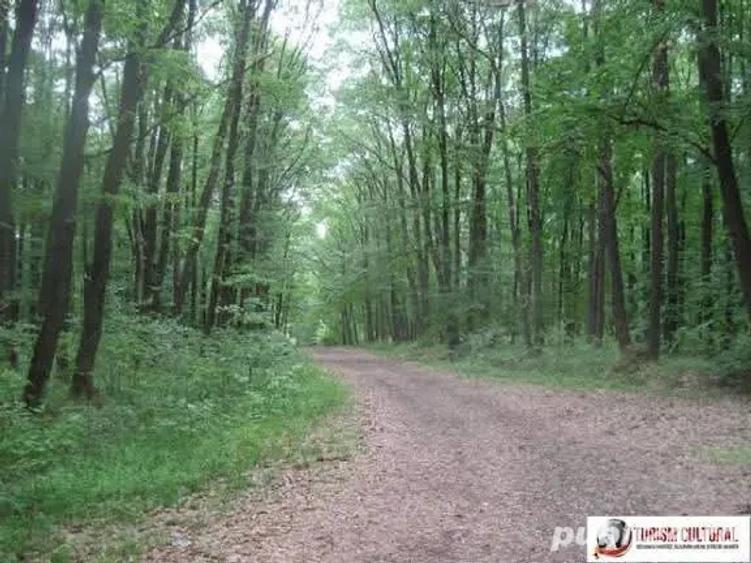 De vanzare teren cu casa inceputa - 1