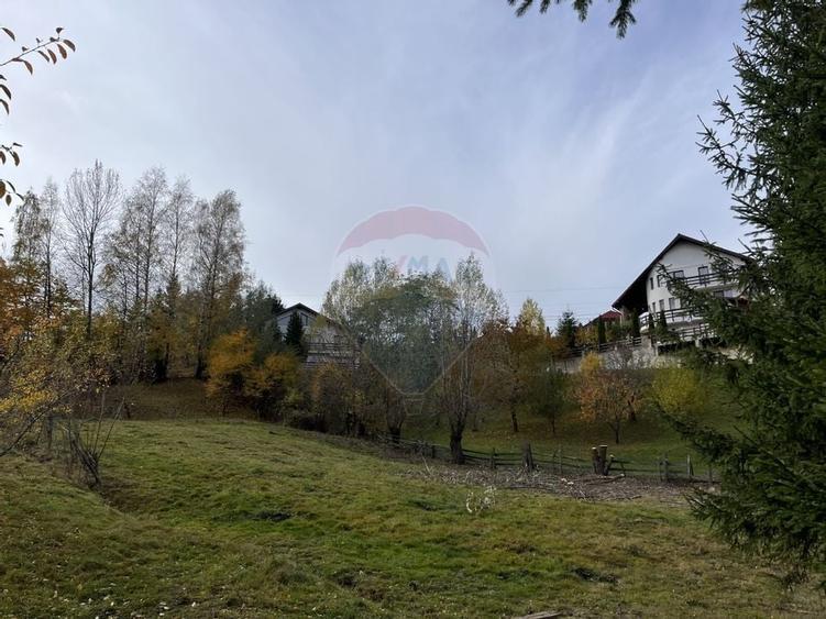 Teren de Vis in Bran - 1000mp Plat, Liniste Absoluta si Aer Curat - 14