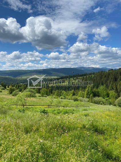 Oportunitate.Teren de vanzare la munte-BELIS - 3