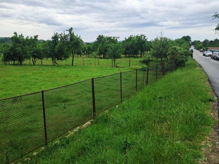 Teren Construcții intravilan de 2560 mp, în Nord