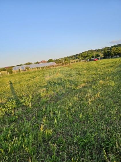 Teren 1,495mp Dobreni / Strada Parau Almas - 31