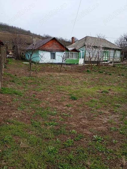Casa batraneasca cu teren - 6