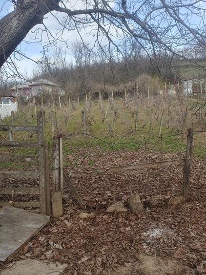 Proprietar,vand casa cu teren 800 mp. AUTOTURISM CADOU - 5