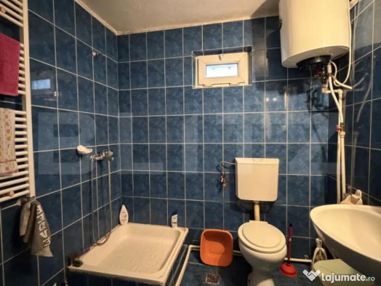 Casa parter Plaiul Vulcanesti, 96 mp utili, 587 mp teren - 9