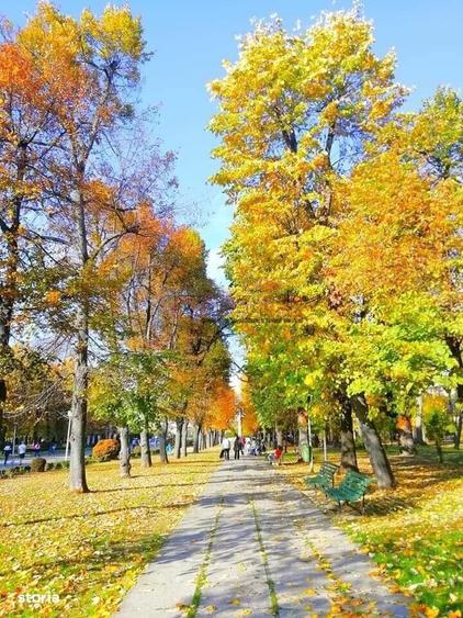 Serban Voda - Carol - Tineretului - 2 camere cu terasa - 8