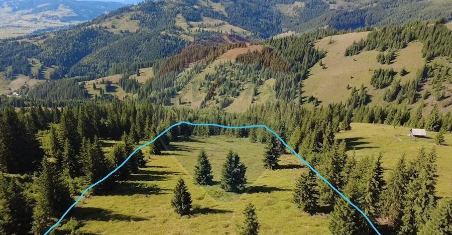 Teren 24,581mp Panaci / Strada Mihaile? - 19