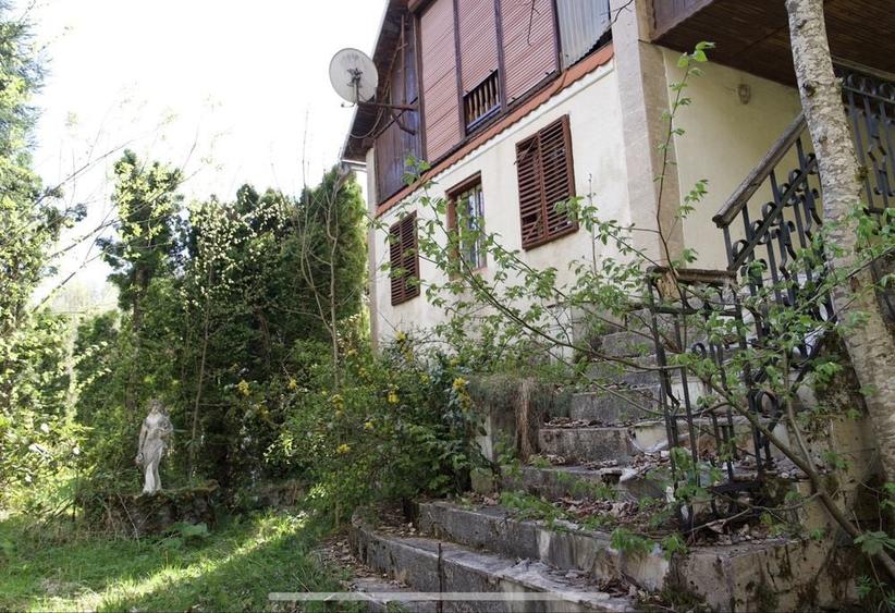Casa de vanzare la Boga - 8