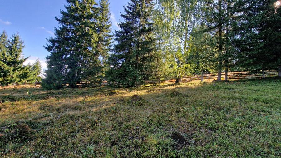 Teren intravilan in Bucovina, Dorna Arini - 4