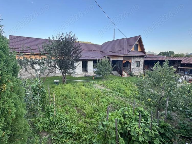Casa de vanzare munte 90.000 - 8