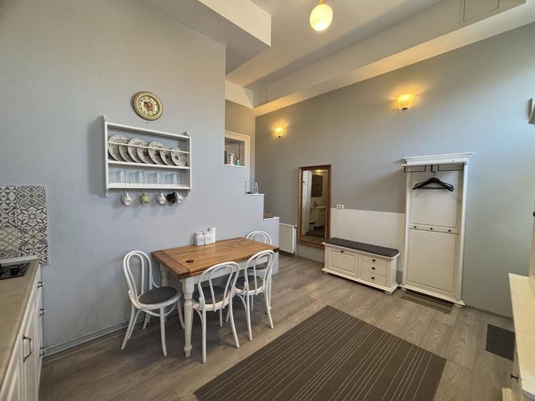 Apartament cu o camera în clădire istorică ,zona Maria - 4