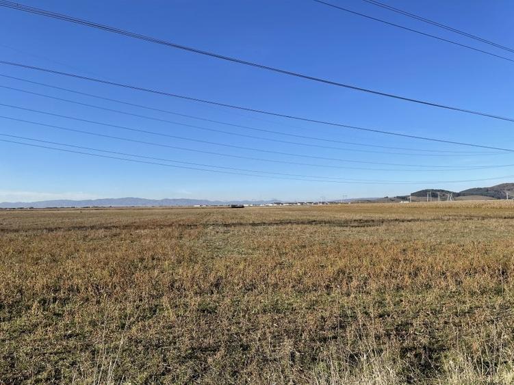 Teren intravilan Triaj - 1