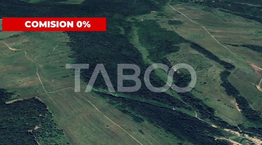 COMISION 0% - Padure 12,7 hectare Sibiu - Oportunitate inves - 1