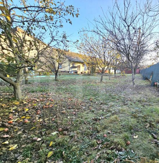 Teren Intravilan + Casa, 2 fronturi, Calea Bogdanesti - 1