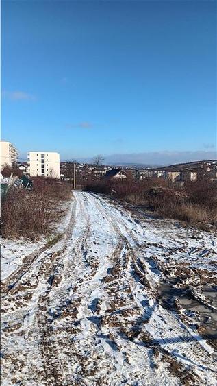 Ocazie! Visani str Castelul Grecilor TEREN 707mp intravilan toate utilitatile - 6