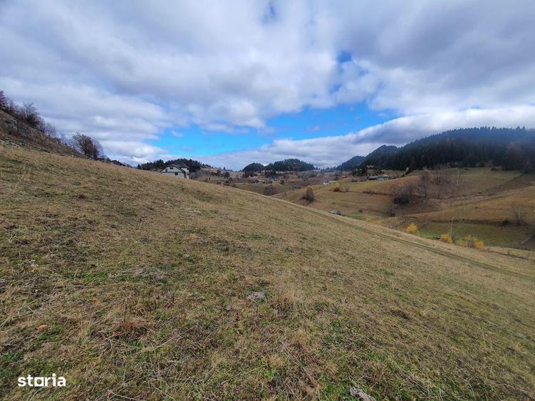 Teren rezidential intravilan Bran Fundata zona de case si pensiuni - 4