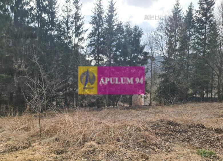 Teren de v&acirc;nzare &icirc;n Sinaia - Platou Izvor - 6