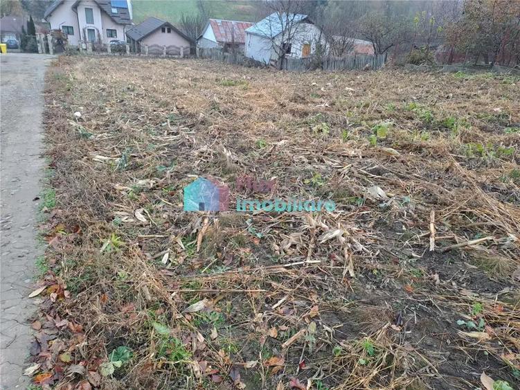 Teren intravilan 1610 mp Sf. Ilie - 3