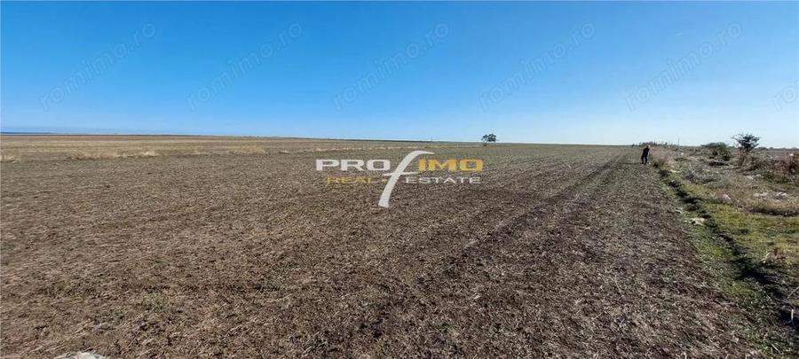 Teren 1600 mp. la cc.1km.de Mare - Eforie Sud-Castelul de Apa - 1